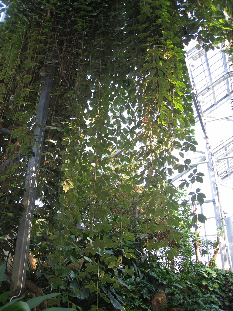 Michigans West Coast 2009 0580.jpg - Labor Day 2009. A trip along Michigans west coast to see beachs, art and buffets.